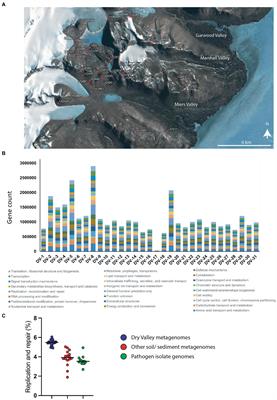 DNA repair enzymes of the Antarctic Dry Valley metagenome